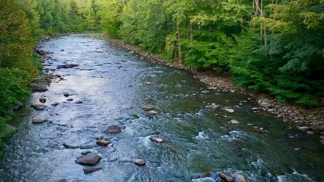 Water slowly moves through what looks like the middle of the forest.  A very peaceful, relaxing image is located at the foothills of the Catskill Mountains.