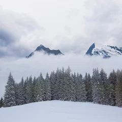 Fotobehang fir tree forest in snowbound misty mountain valley © Yuriy Kulik