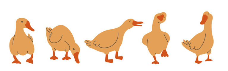 Set of small yellow birds ducklings or goslings. Homemade little chick. Flat vector illustration, eps10