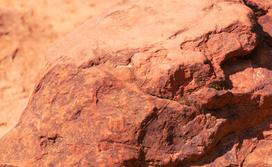 Red rock as an abstract background. Texture