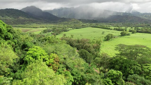 Kauai Hawaii landscape jungle drone footage.