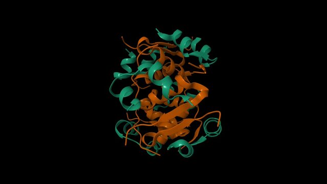 Structure of native human insulin oligomer. Animated 3D cartoon and Gaussian surface models, chain id color scheme,  PDB 4f1b, black background