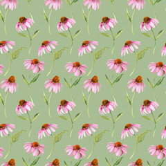 Watercolor pink echinacea flowers seamless pattern Hand painted illustration with elegant garden pink daisies flowers to design invitations, postcards and other print