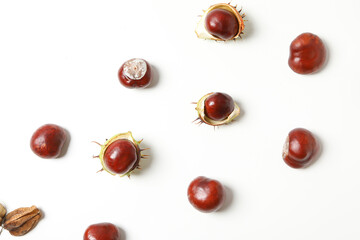 Chestnuts in shell and without on a white background