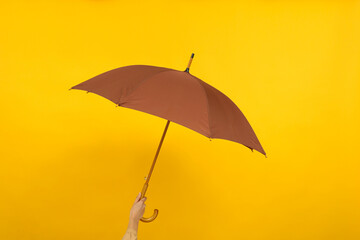 An umbrella in the hands of a person.