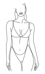 Female figure. Linear drawing, a linear drawing of a beautiful female body