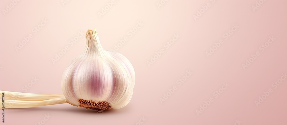 Poster one garlic clove alone isolated pastel background copy space with slight color correction