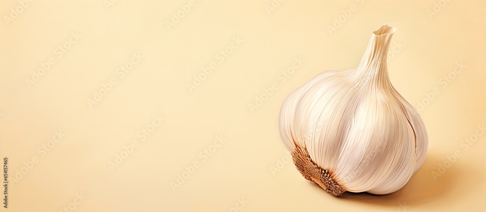 Poster one garlic clove alone isolated pastel background copy space with slight color correction