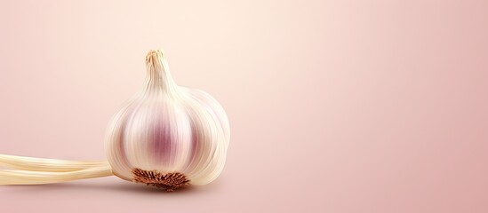 One garlic clove alone isolated pastel background Copy space with slight color correction