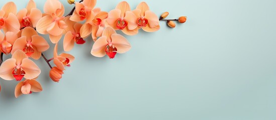 Orange orchids in bloom isolated pastel background Copy space