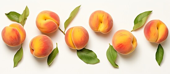 Obraz premium Peach fruit isolated pastel background Copy space
