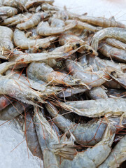 Selling raw shrimp in a supermarket. Fresh raw shrimps at the fish marke. Seafood. Raw shrimp close-up
