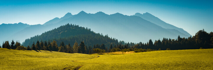 Weg im Feld und Berge im Karwendel Gebirge - Panorama - 654171054