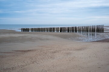 Fototapeta na wymiar Weathered wood, breakwater at ebb tide on sandy beach