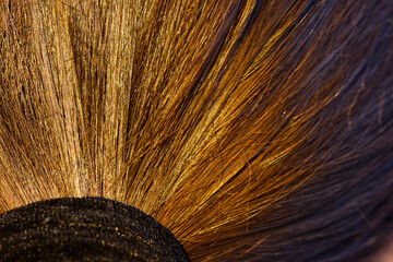 Close-Up of Young Girl's Auburn Hair in a Ponytail.