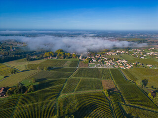 FRANCE, GIRONDE, LOUPIAC, AERIAL VIEW LOUPIAC VILLAGE AND ITS VINEYARD, AOC CADILLAC COTES DE...