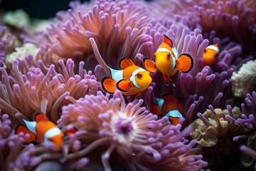 Naklejka na ściany i meble Closeup view of vibrant anemone with darting clownfish and cleaner shrimp busy picking parasites. Generative AI