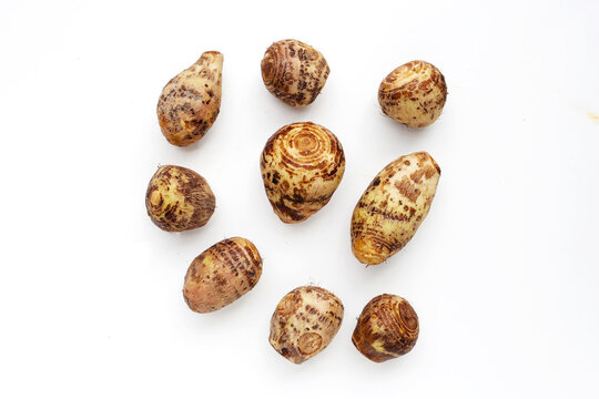 Satoimo, taro roots or japanese sweet taro