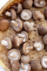 Fresh shiitake mushrooms in bamboo basket