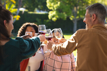 Happy diverse male and female friends toasting during thanksgiving celebration meal in sunny garden