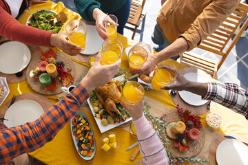 Happy diverse male and female friends toasting during thanksgiving celebration meal in sunny garden