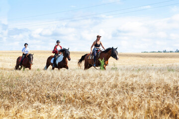 Horseback riding. Horseback riding. Young women equestrians gallop on horses through a field on a...