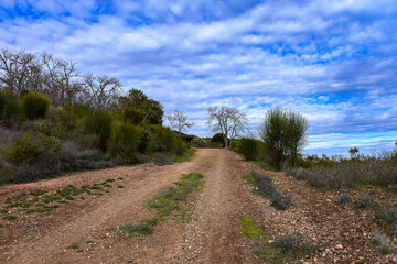 Rustic desert dirt hiking trail