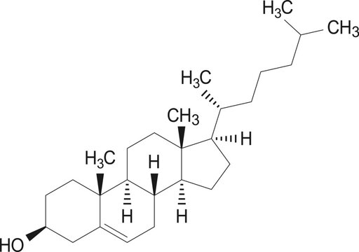 Cholesterol vector  formula, chemical structure of molecule