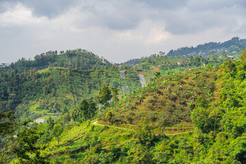 Slopes of the Gunung Lawu Volcano, Java, Indonesia