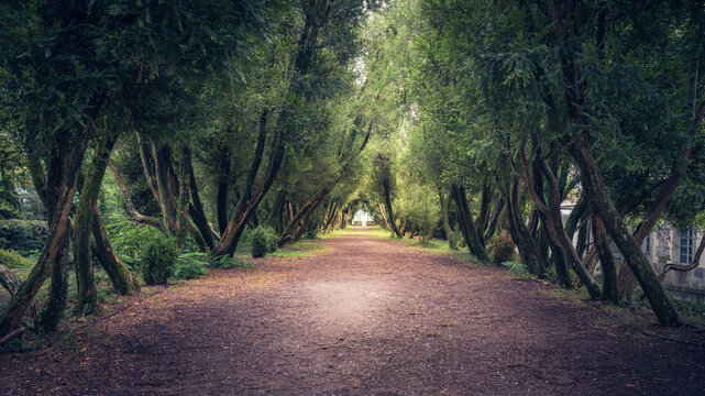 PASEO DOS BUXOS