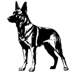 silhouette black and white german shepherd  dog  logo  in a minimal black and white style is suitable for your product logo or Brand Identity design