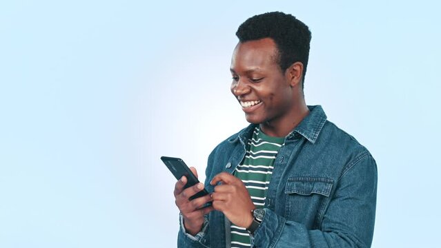 Phone, search and black man in studio with social media, text or laughing at meme on blue background. Smartphone, app and African person with online comic, message or funny, mobile or communication