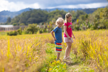 Kids visit rice plantation in Asia. Paddy field.