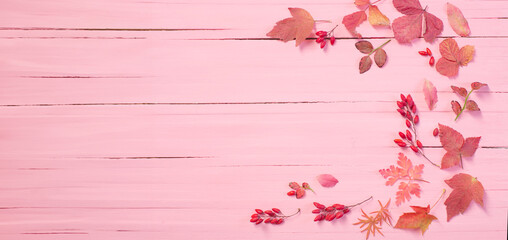 autumn leaves on pink wooden background