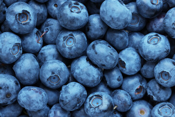 Fresh tasty blueberries as background, top view