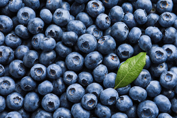 Tasty fresh blueberries with green leaf as background, top view