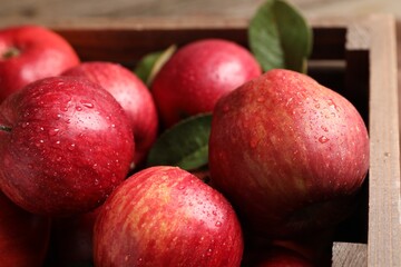 Ripe red apples with water drops and green leaves in crate, closeup