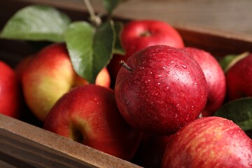 Ripe red apples with water drops and green leaves in crate, closeup
