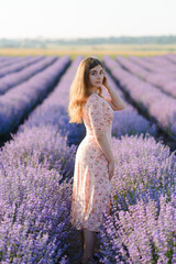 A woman walking along the rows of a lavender field