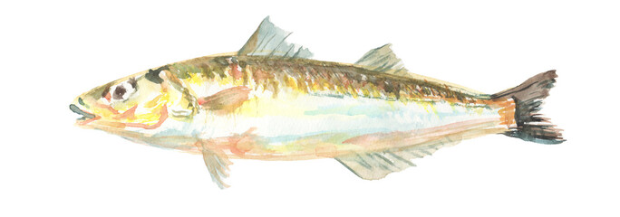 水彩で描いたキスのイラスト