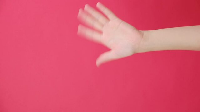 Vertical footage of female hand waving and greeting as notices someone friend, isolated over red color background wall in studio with copy space for advertisement. Advertising area workspace mock up