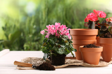 Beautiful flowers, pots and trowel on white wooden table outdoors. Space for text