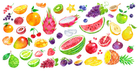 Watercolor illustration set of fruit