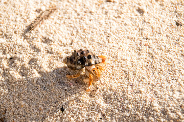 Dominikanische Republik