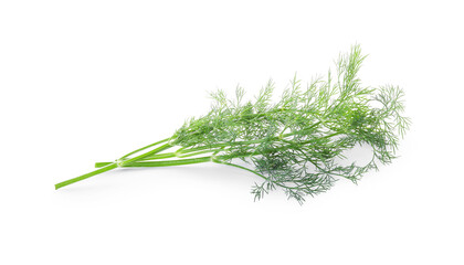 Sprigs of fresh dill isolated on white