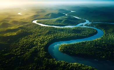 Aerial view of Amazon rainforest jungle with river - obrazy, fototapety, plakaty