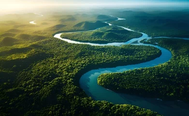 Afwasbaar behang Brazilië Aerial view of Amazon rainforest jungle with river