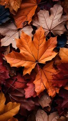 Autumn leaves lying on the floor.