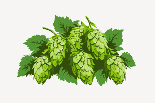 Hops vector flat minimalistic asset isolated vector style illustration