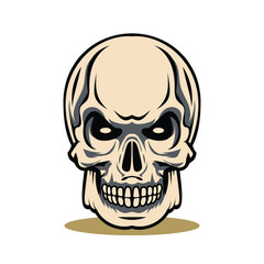 skull vector